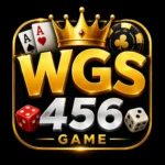 WGS456 Game