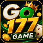 Go177 Game